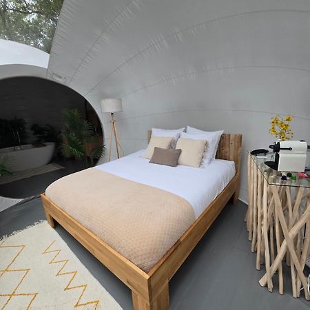 La Bulle Perchee De Chantilly Gouvieux Dış mekan fotoğraf